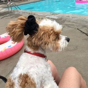 Meet your Posher, Megan